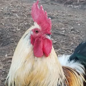 Meet your Posher, Jeremy